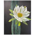 Cactus Rain Flower