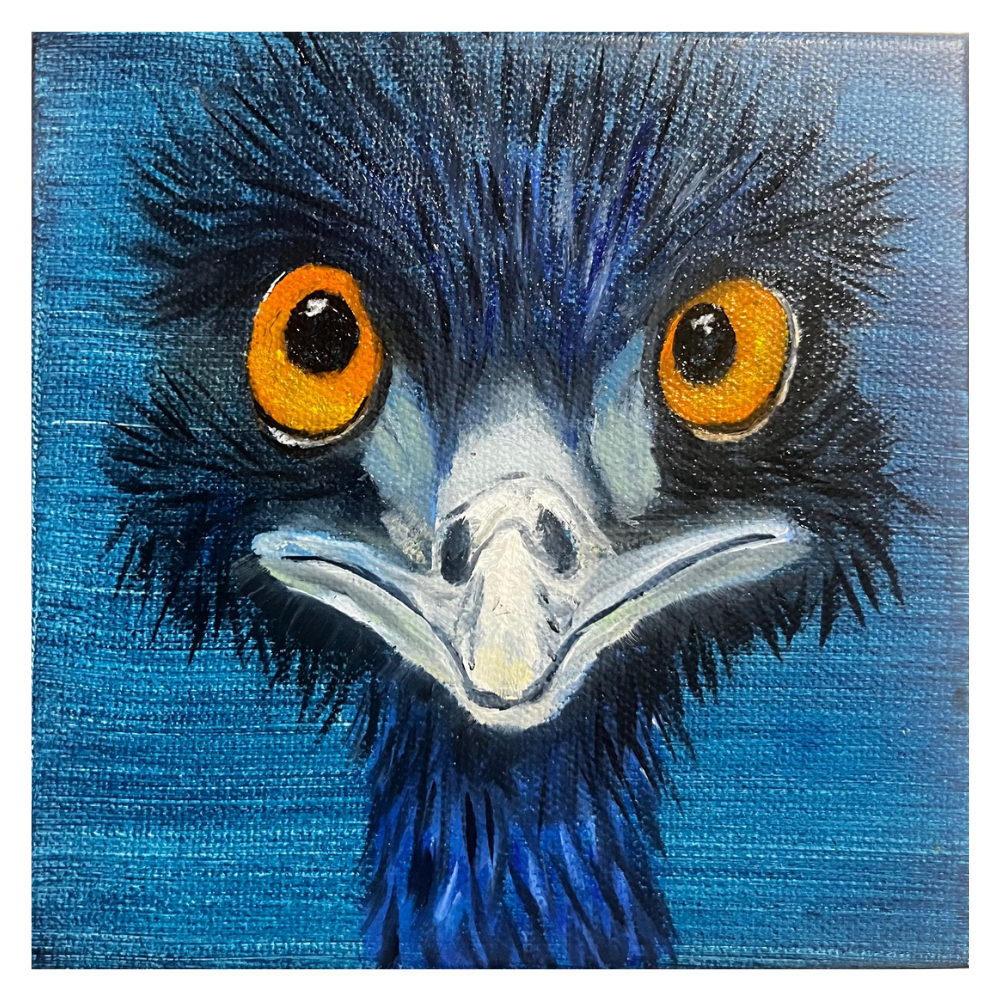 The Life of an Outback Emu