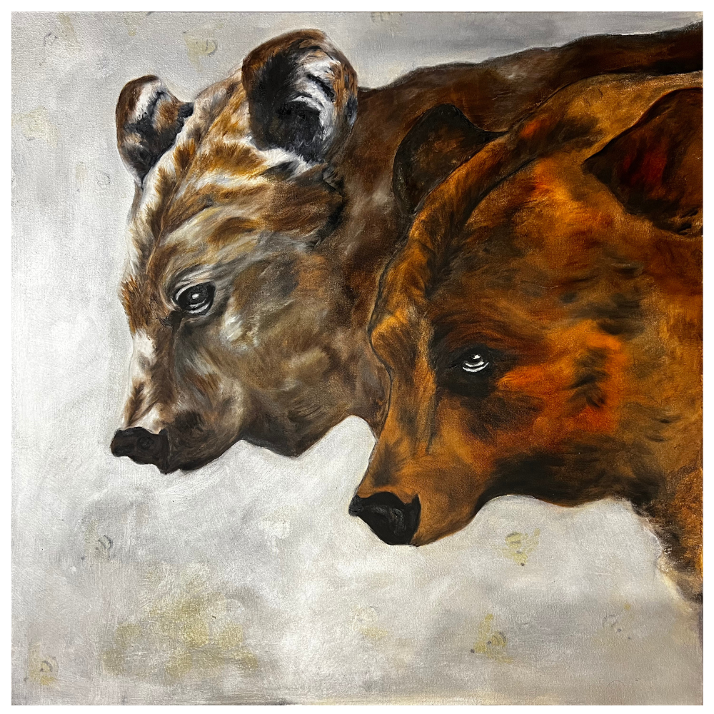 Through the Eyes of the Canadian Brown Bear